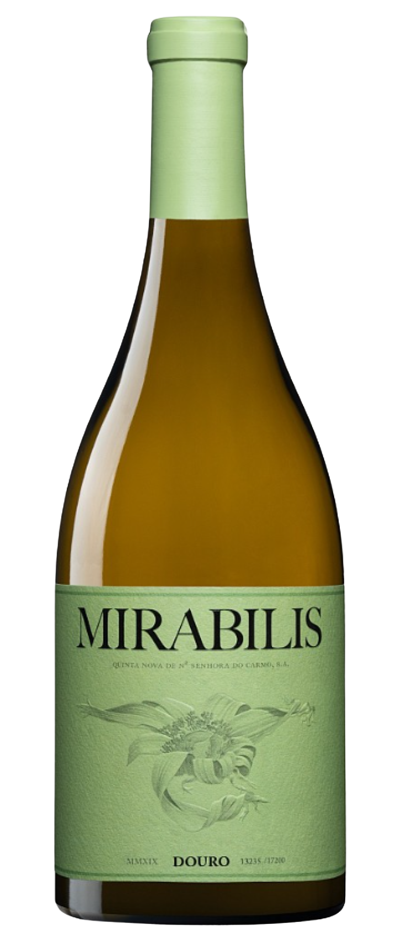 Mirabilis White 2023